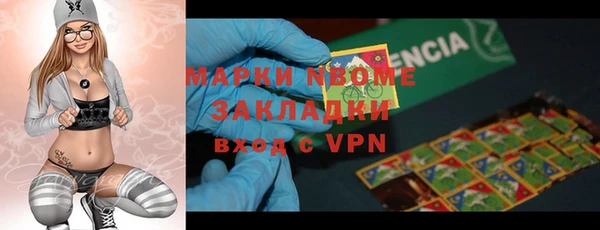 хмурый Белокуриха