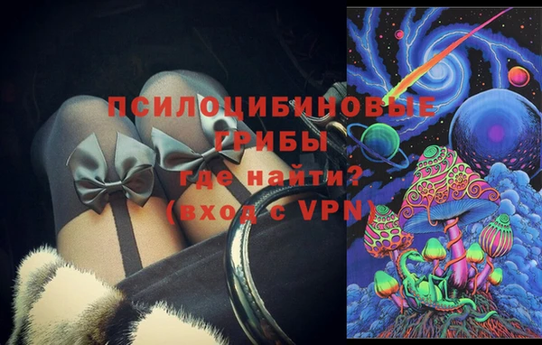 спиды Бронницы
