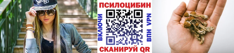 Купить  Железногорск-Илимский  Галлюциногенные грибы Magic Shrooms 